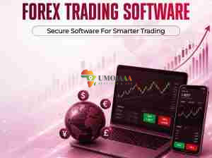 Maximize Trading Potential Through Reliable Forex Software