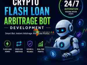Expert Flash Loan Arbitrage Bot Developers – 24/7 Automation