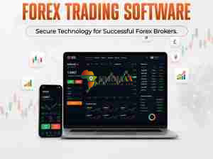 Secure Custom Forex Trading Platform Development for Forex B