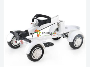 EcoRider G2 E7-1 4Wheel Foldable Golf Electric Skateboard