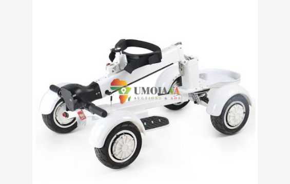 EcoRider G2 E7-1 4Wheel Foldable Golf Electric Skateboard